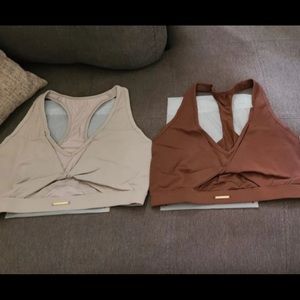 Whitney Simmons Gym Shark Mesh Sports Bra